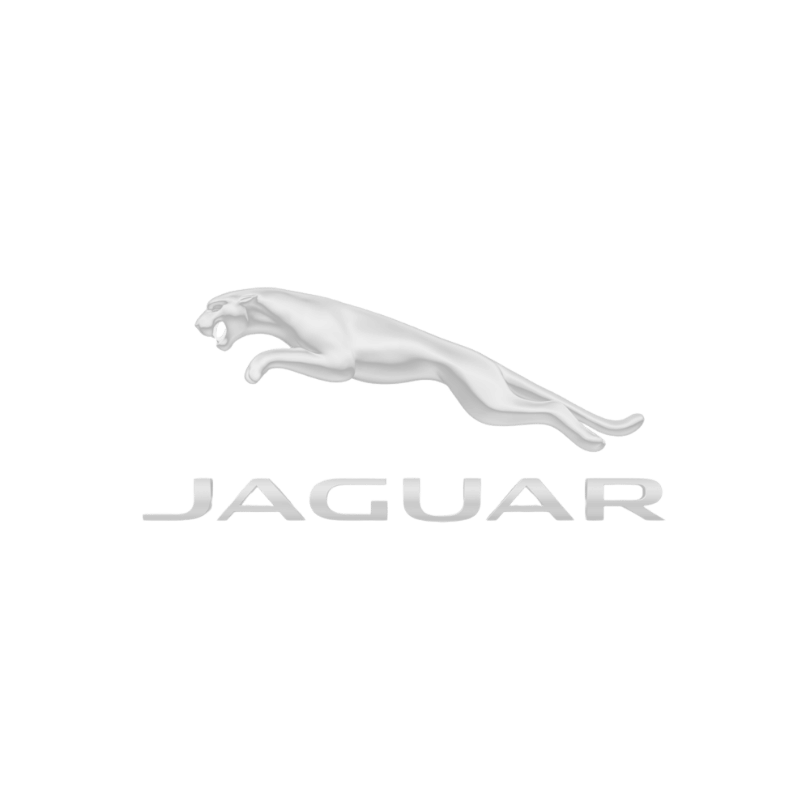 JAGUAR1